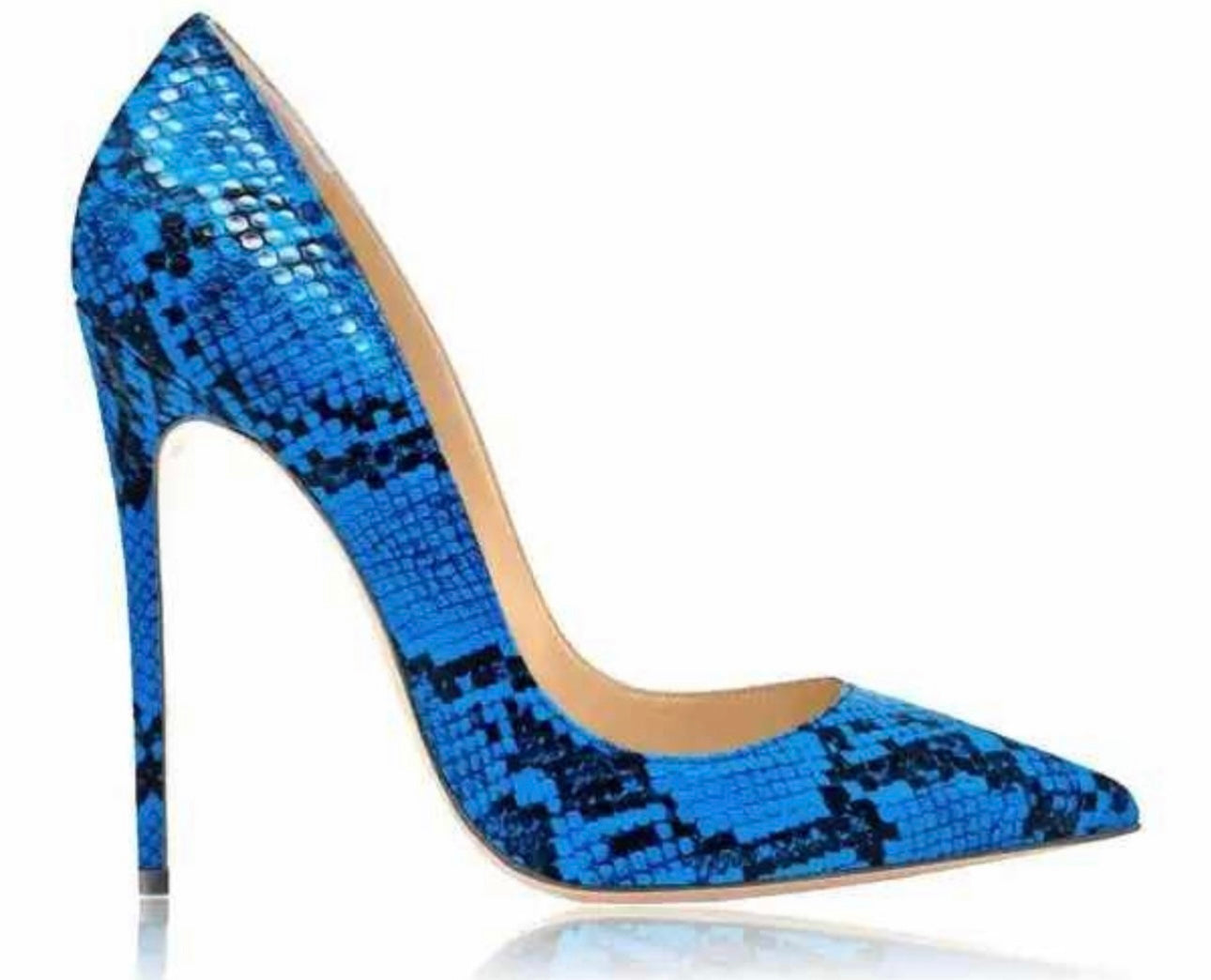 Stiletto snake Ocean